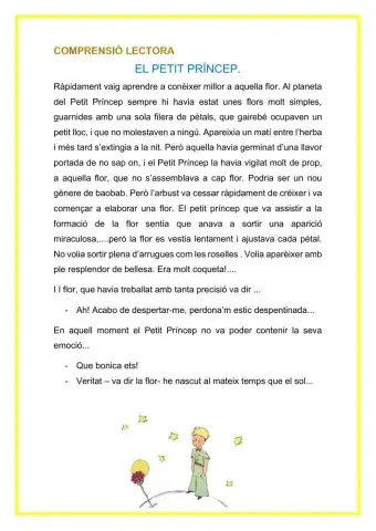 Comprensió lectora petit Princep
