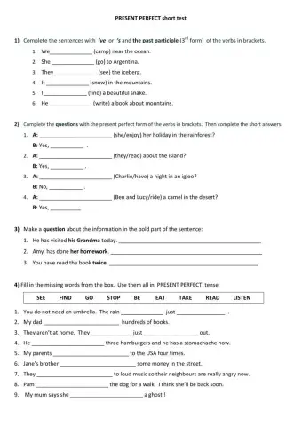 Present Perfect Test 2