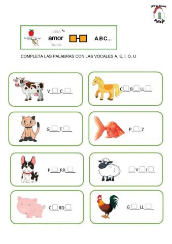 Completa y ordena palabras