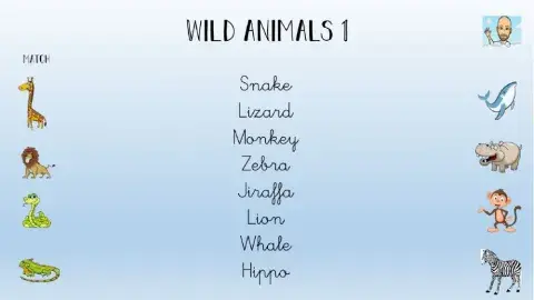 Wild Animals 1º-1
