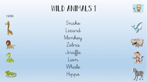 Wild Animals 1º-1