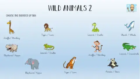 Wild Animals 1º- 2