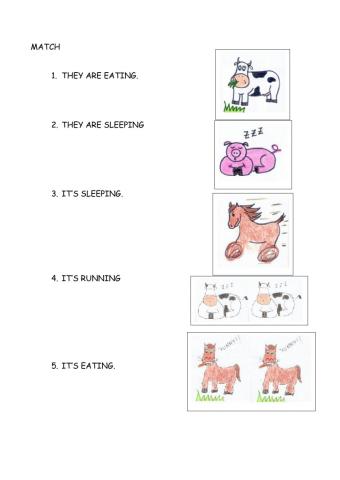 Farm animals and actions