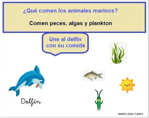 Animales marinos