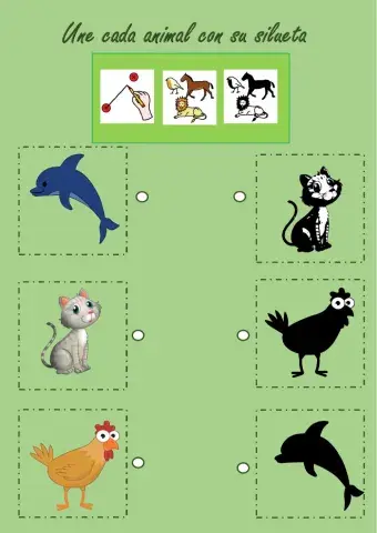 Une los animales con su silueta