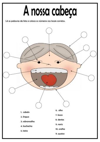 As partes do corpo. Cabeça.