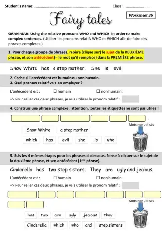 Pronoms relatifs WHO et WHICH