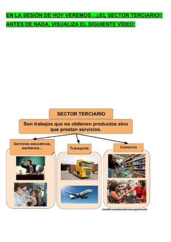 Sector terciario
