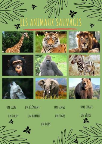 Les animaux sauvages.