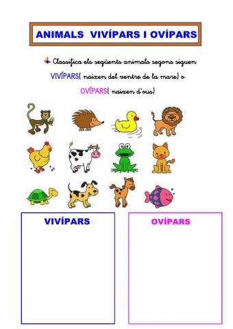 Animals VIVÍPARS i OVÍPARS