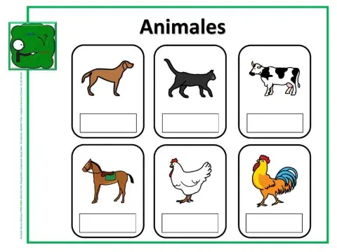 Cómo se llama: animales