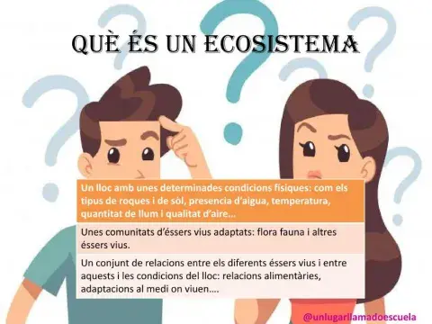Els ecosistemes