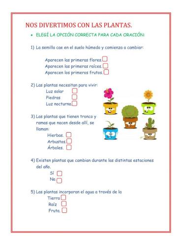 Nos divertimos con las plantas