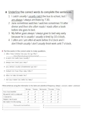 A2 frequency adverbs and time expressions