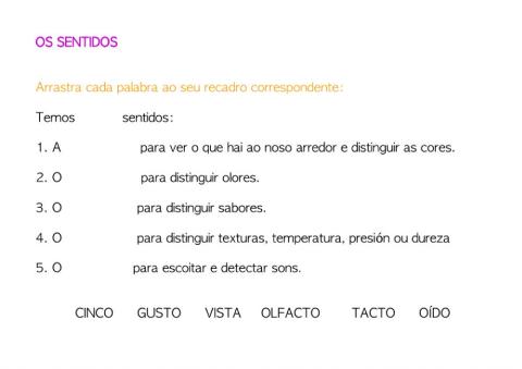 Os sentidos