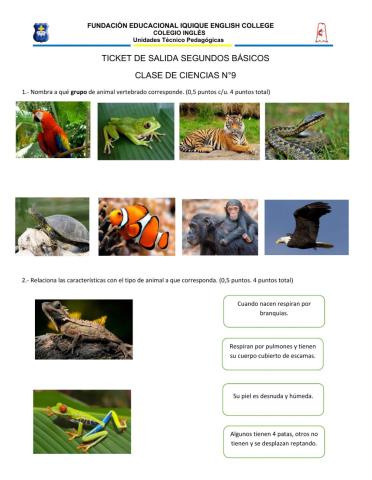 Animales Vertebrados