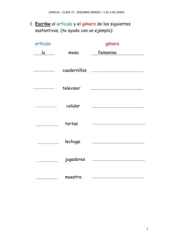 Artículos y género femenino, masculino