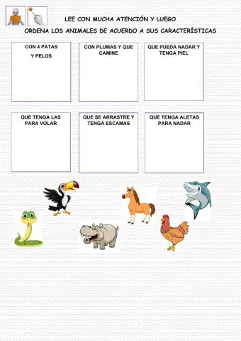 Lee con mucha atención y luego  ordena los animales de acuerdo a sus características