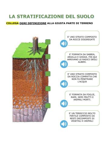 La stratificazione del suolo