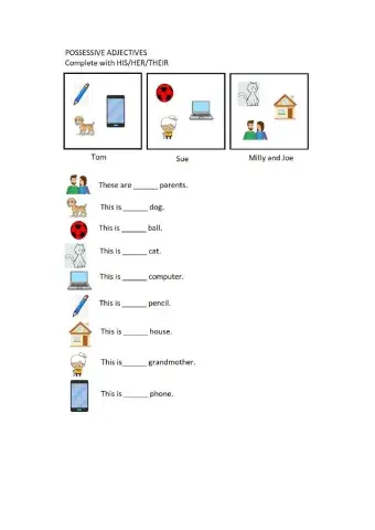 Possessive adjectives