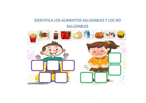 Alimentos nutritivos y no nutritivos