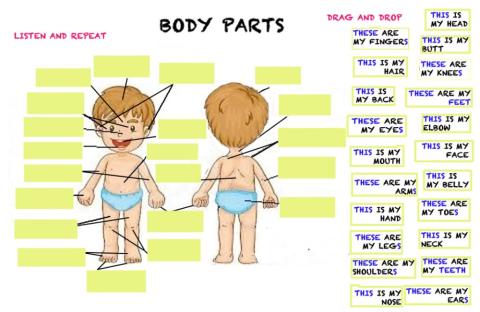 Body Parts