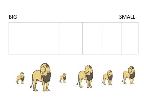 lion size ordering