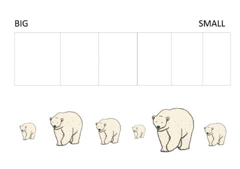 polar bear size ordering