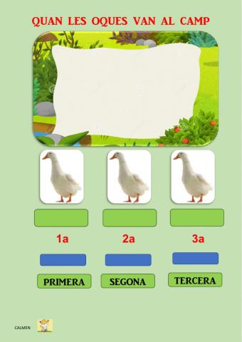 Quan les oques van al camp