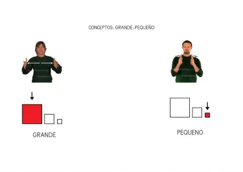 Concepto cuantitativos: GRANDE-PEQUEÑO L.S.E