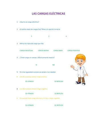 Las cargas electricas