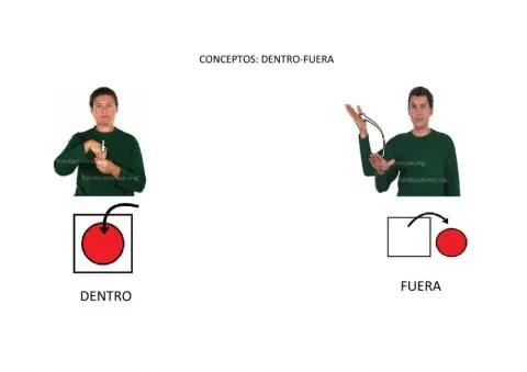 Conceptos espaciales: DENTRO-FUERA L.S.E