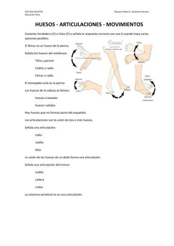 Huesos y articulaciones