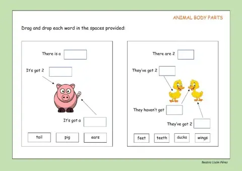 Animal body parts (I)