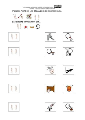 Las orejas sirven para...1