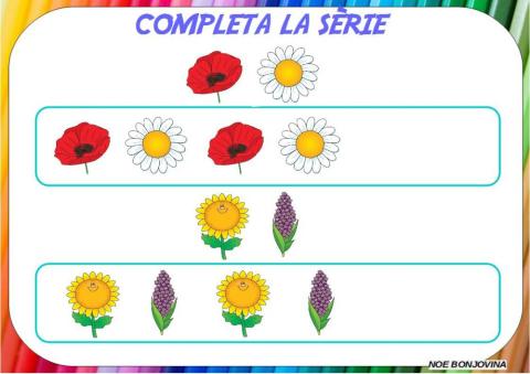 Series flores