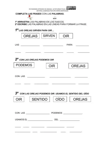 Las orejas sirven para...3