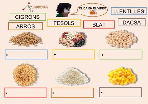 Llegums i cereals