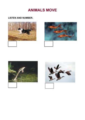 Animals move