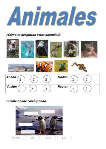 U.D. Los animales 1