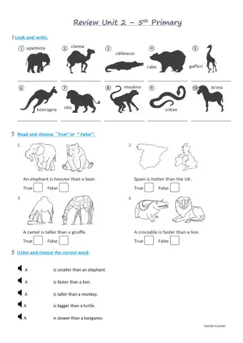 5th Primary - Review Unit 2