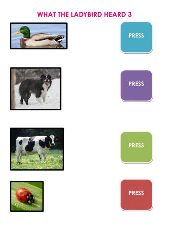 What the ladybird heard 3