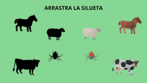 Siluetas animales