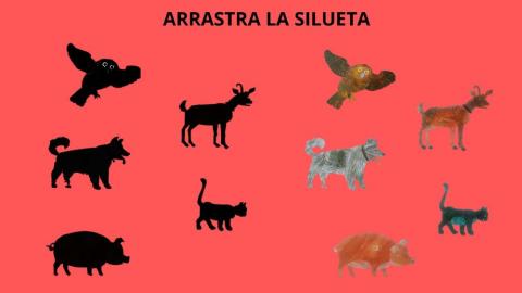 SILUETAS ANIMALES