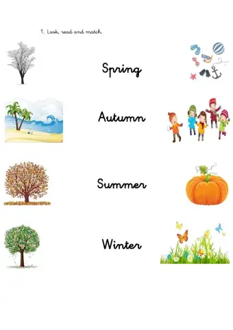 The Seasons