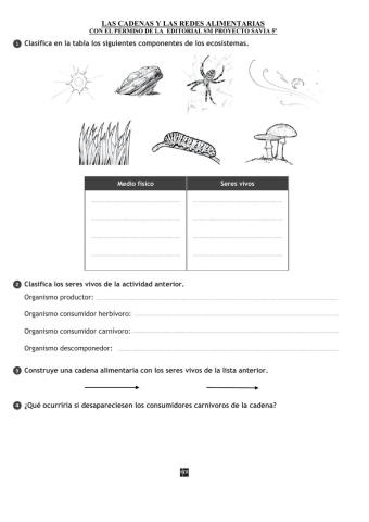 Las cadenas y las redes alimentarias