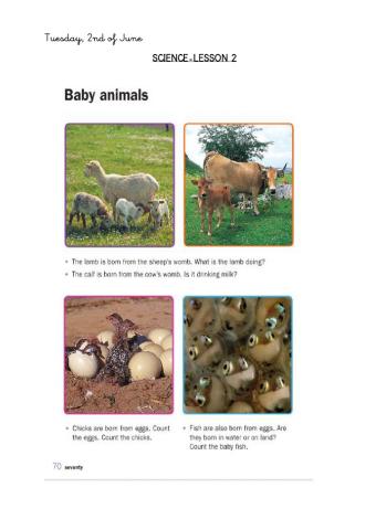 Animals-Science lesson 2