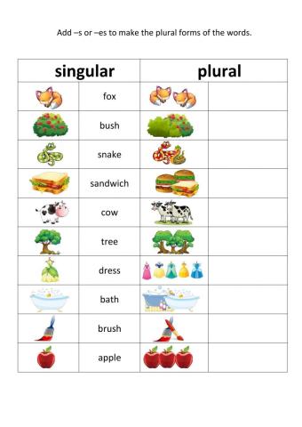 Plurals (-s vs -es)