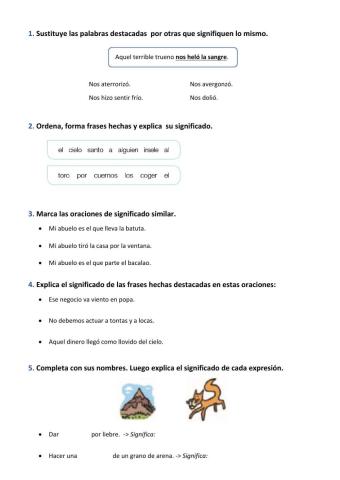 Lengua 5-6