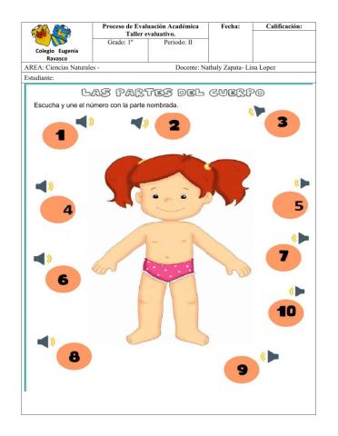 Taller evaluativo 1º ciencias naturales